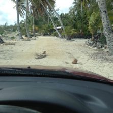 Road Hazards in the Bahamas